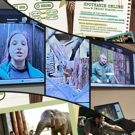 doradztwo-zawodowe-3